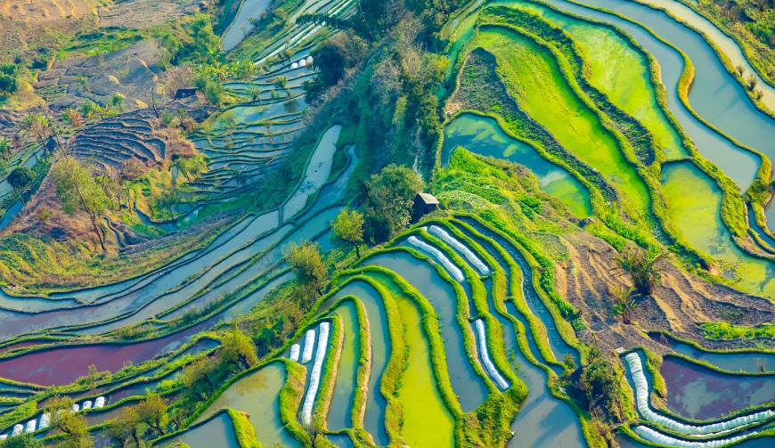 宝妈必备神器：硚口区产品视频拍摄轻松育儿好帮手
